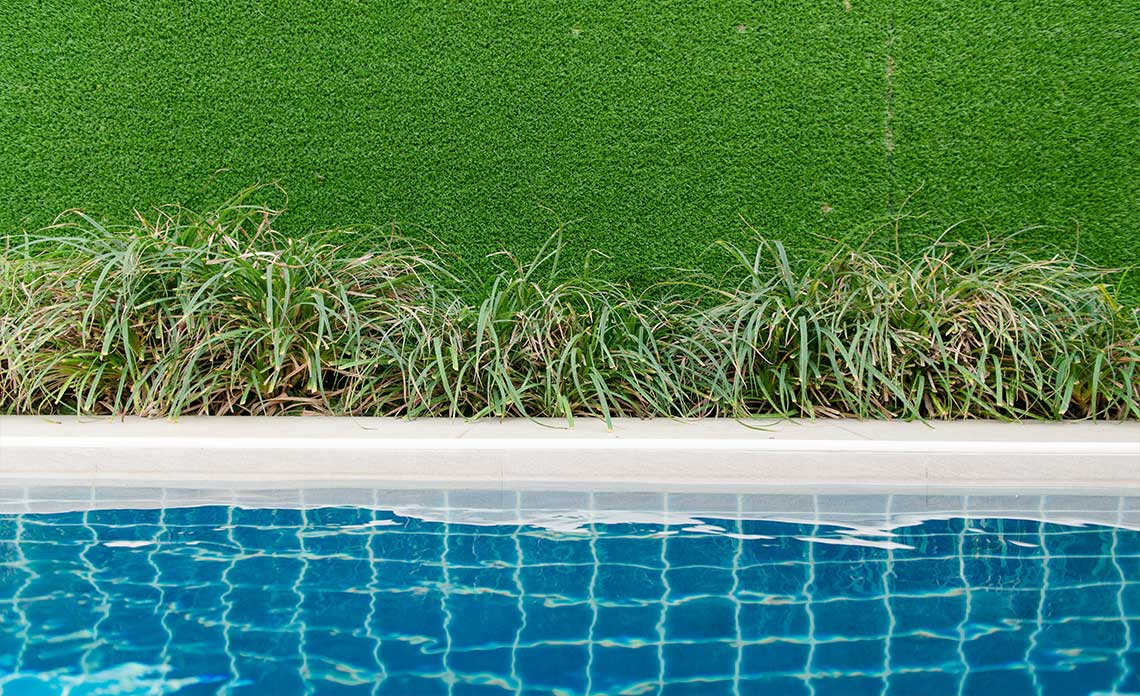Florida Pool with Shrubs | Goodwin Landscape Naples, Florida
